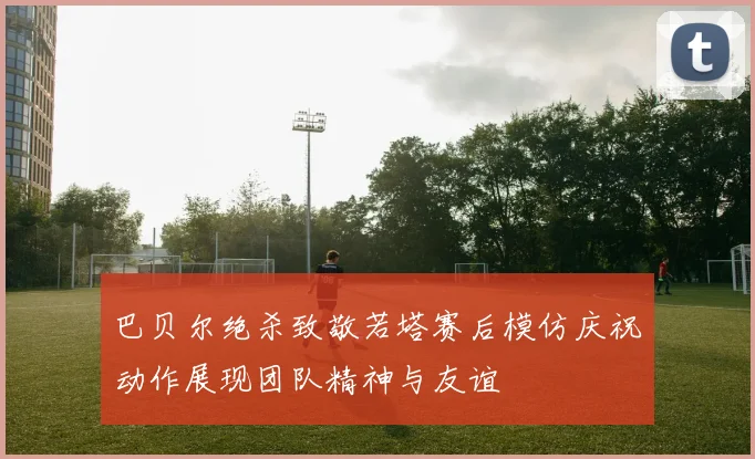 巴贝尔绝杀致敬若塔赛后模仿庆祝动作展现团队精神与友谊