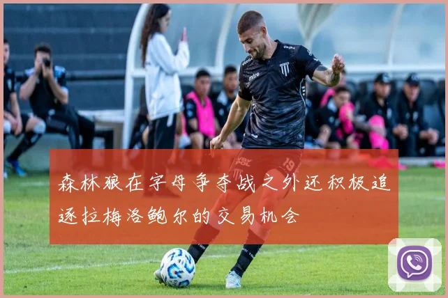 森林狼在字母争夺战之外还积极追逐拉梅洛鲍尔的交易机会